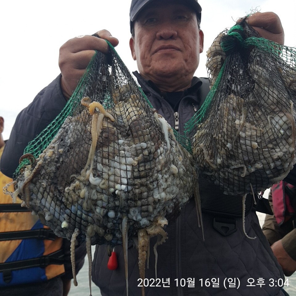 ***쭈꾸미*** (낚시의 원조 홍원항) 요포선단 ~제1선단  장진호 10/16 만~족~~한 망태기 조황!!