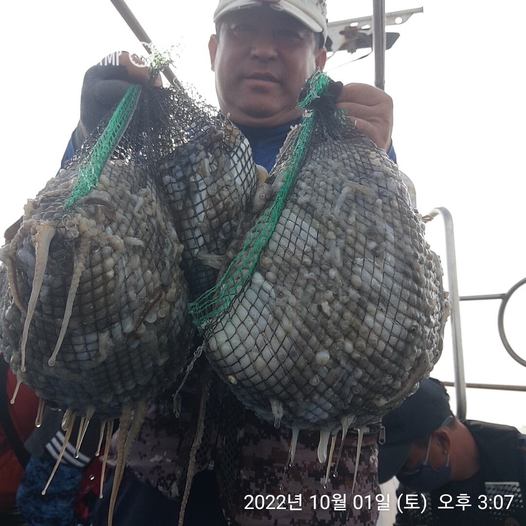 홍원항 요포낚시 ~제1선단~ 장진호  갑오징어&쭈꾸미 1인 2망태기 조황입니다!!