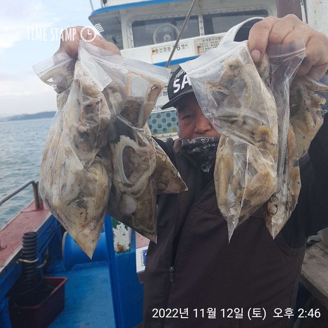 ***쭈꾸미*** (낚시의 원조 홍원항) 요포선단 ~제1선단~장진호 11월12일 쭈꾸미 조황입니다!!