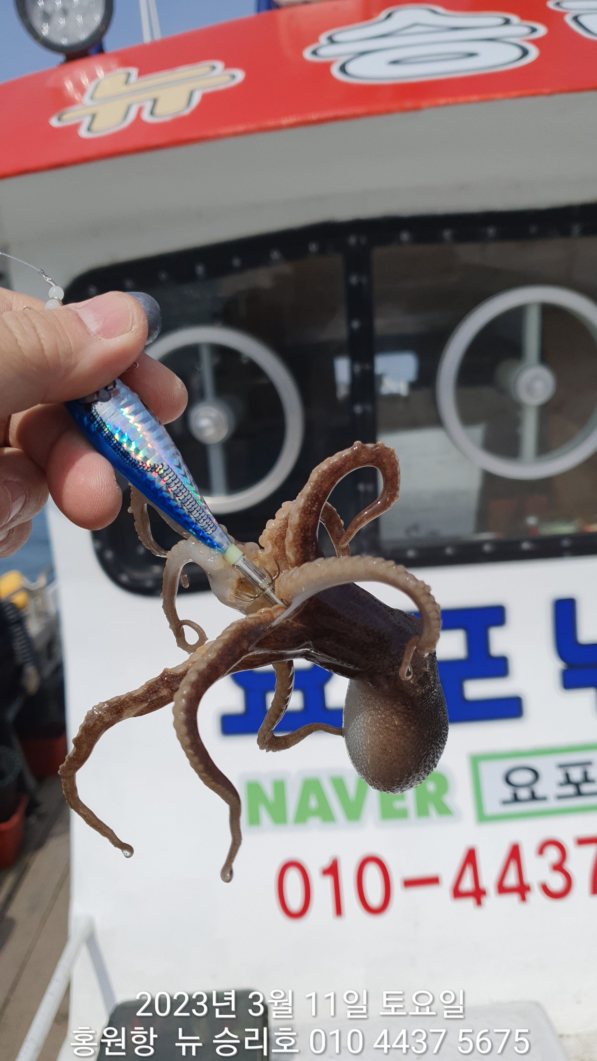 3월11일**봄 쭈꾸미 탐사** 홍원항 요포선단 ^^위풍당당^^ 뉴~ 승리호 선장님 확인 조황!!