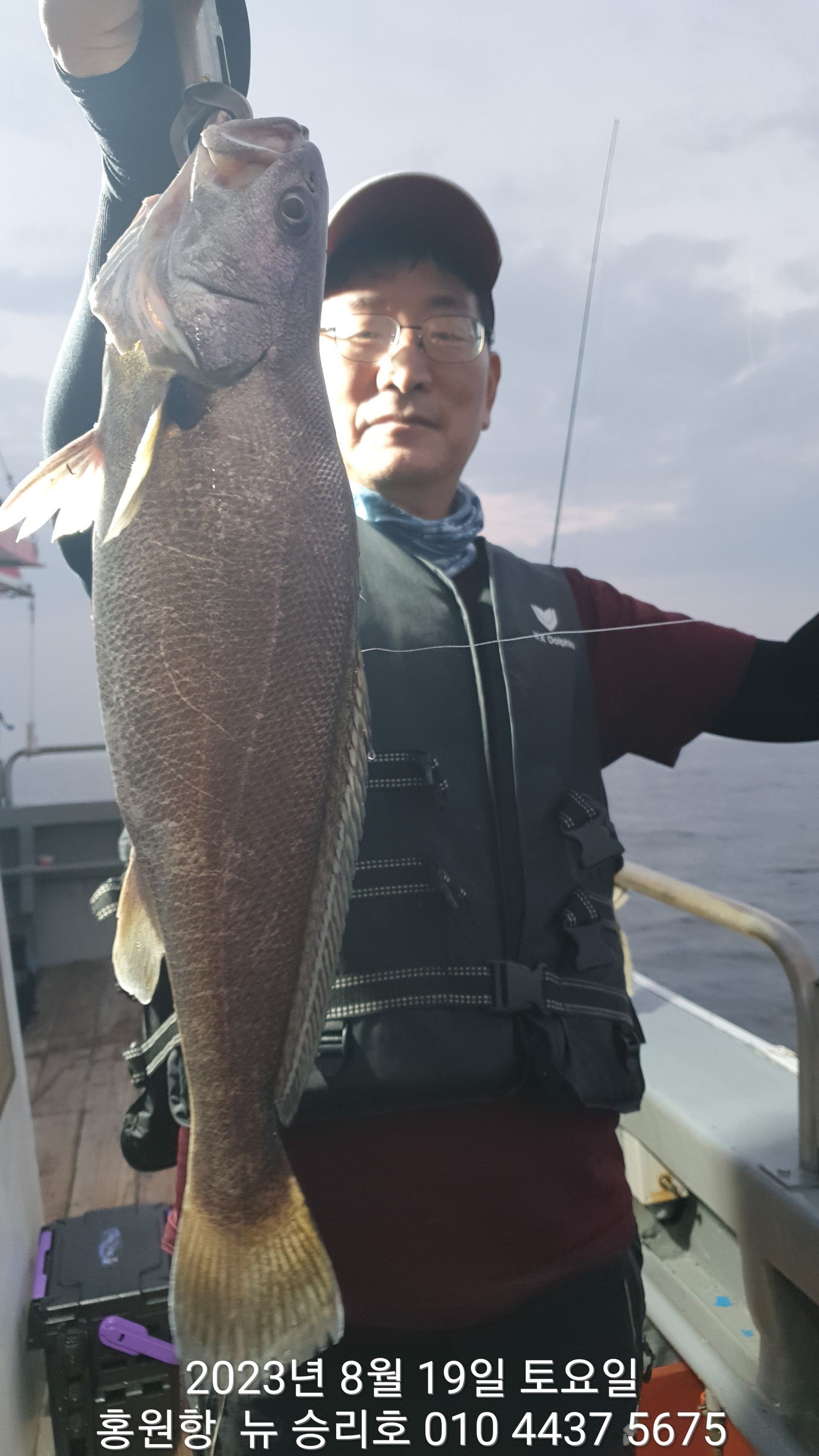 8/19 홍원항 ^위풍당당^ 뉴~ 승리호 아침 2시간 (*왕 민어*) *황금빛* 부세&왕 백조기 조황!!