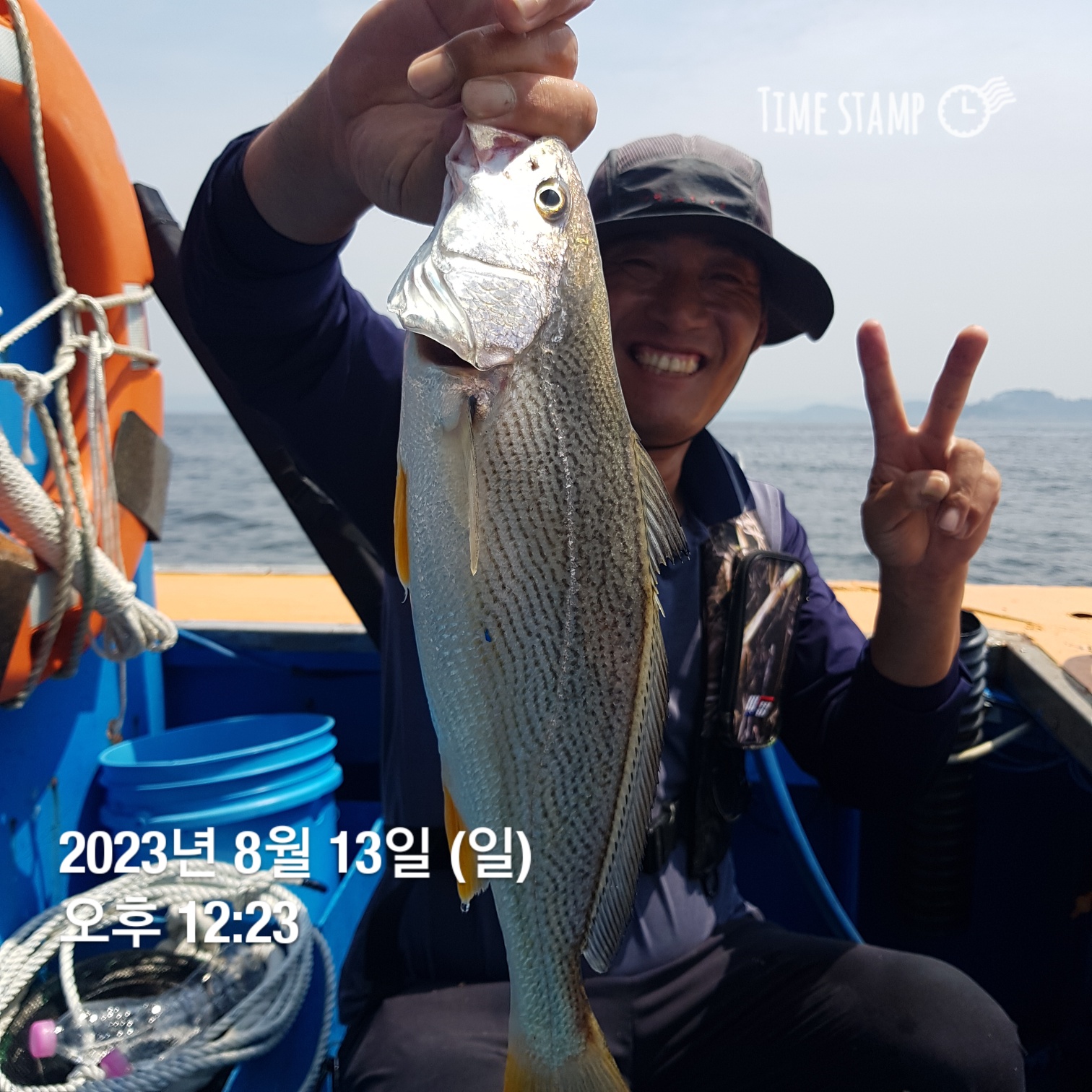 8월13일 홍원항 요포선단 ~제1선단~ 장진호 ~민어~*황금빛*부세 백조기 조황!!