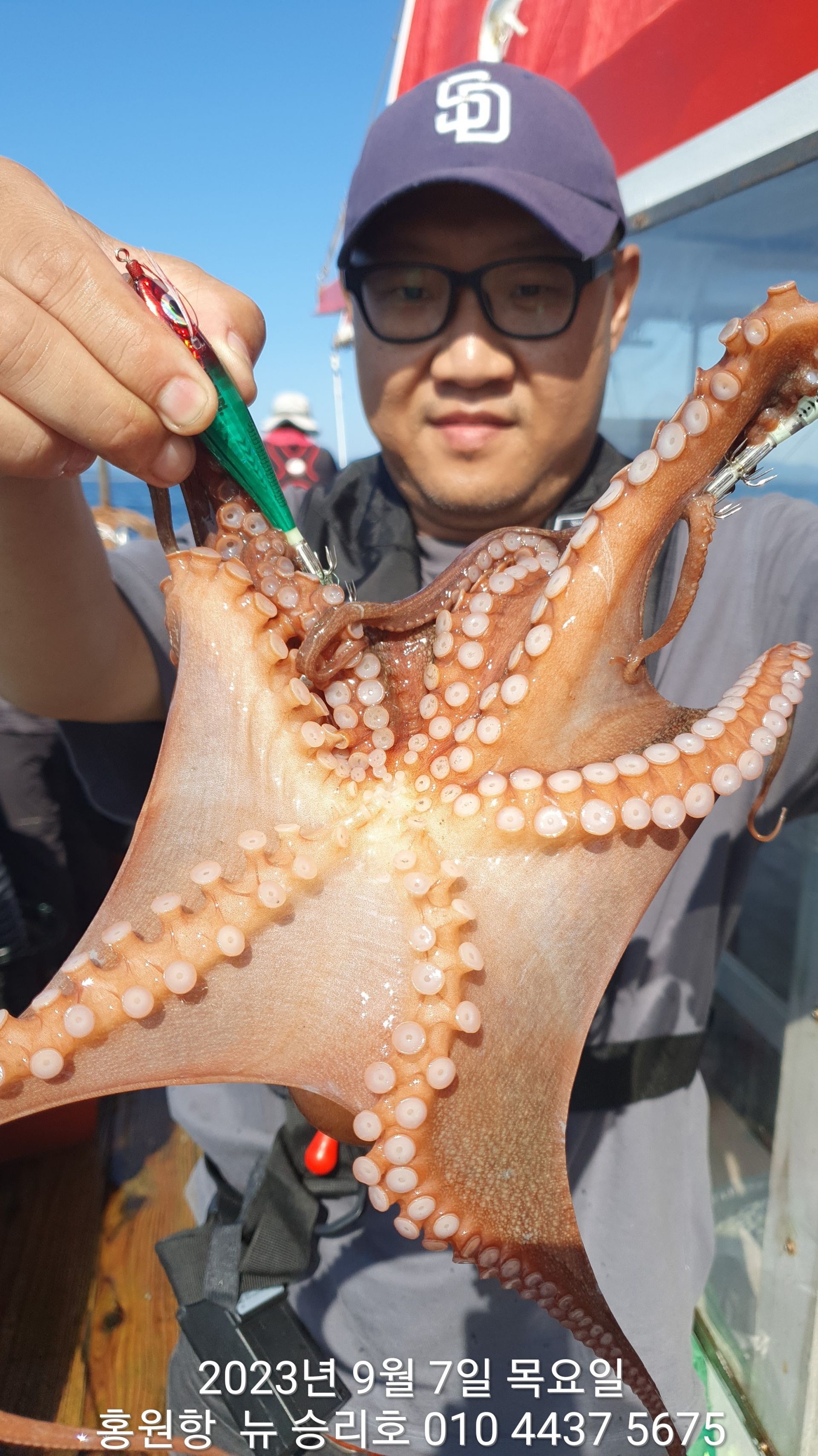 홍원항 요포선단 ^위풍당당^ (뉴~승리호) 9/7 *문어* 갑오징어&쭈꾸미 완~벽~~한 망태기조황!!