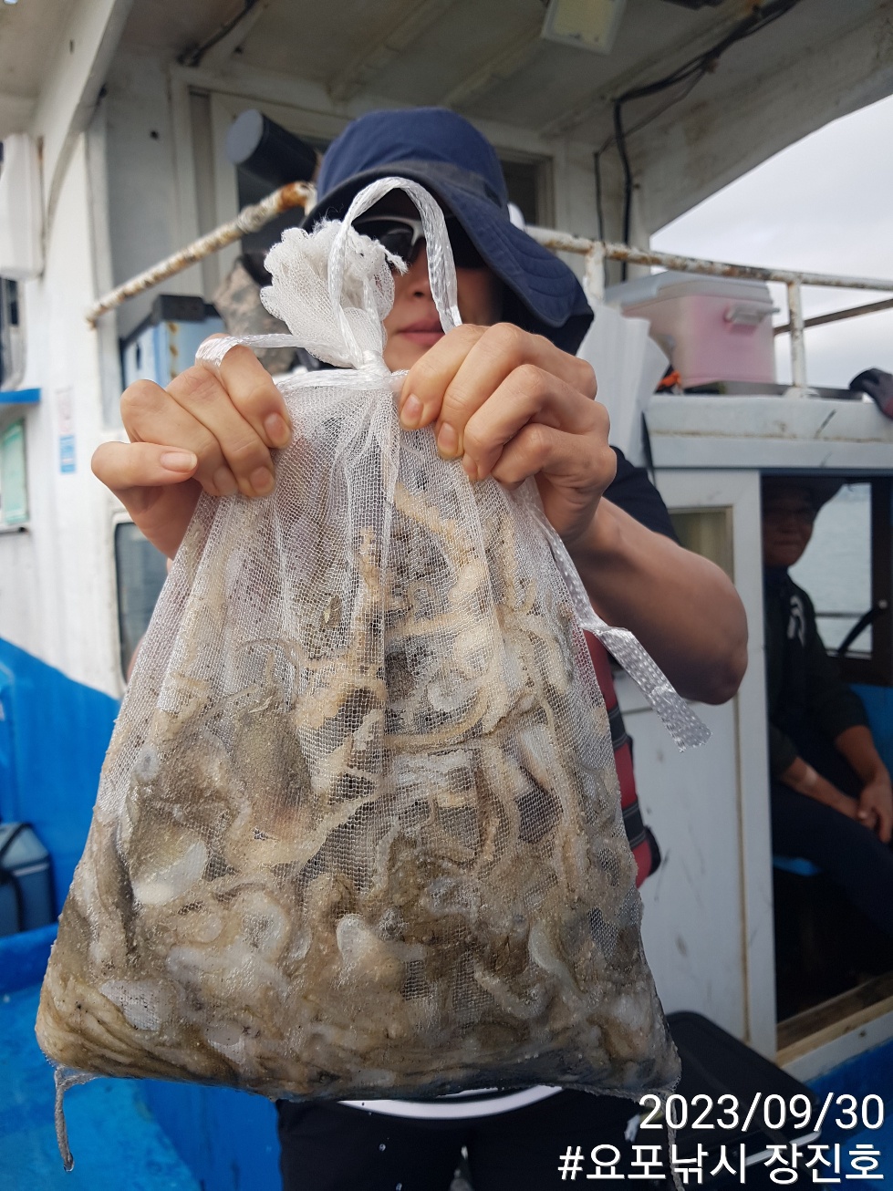 요포선단~제1선단~ ((장진호)) 9월 30일도 **쭈꾸미&갑오징어** 흡~족~~한 조황입니다!!