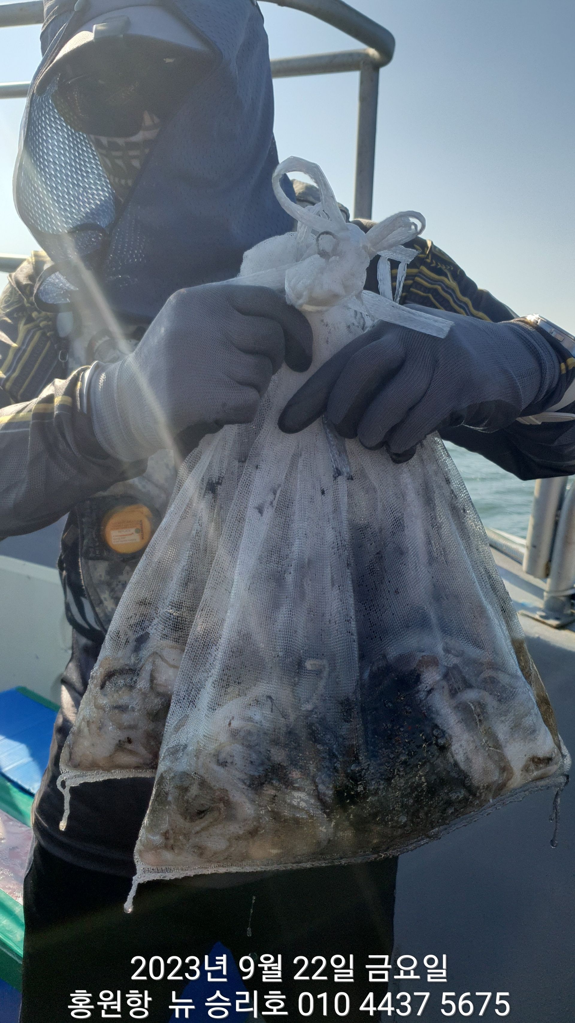 9월22일 홍원항 ^^위풍당당^^ ((뉴~승리호))  **갑오징어 & 쭈꾸미** 망태기 조황입니다!!