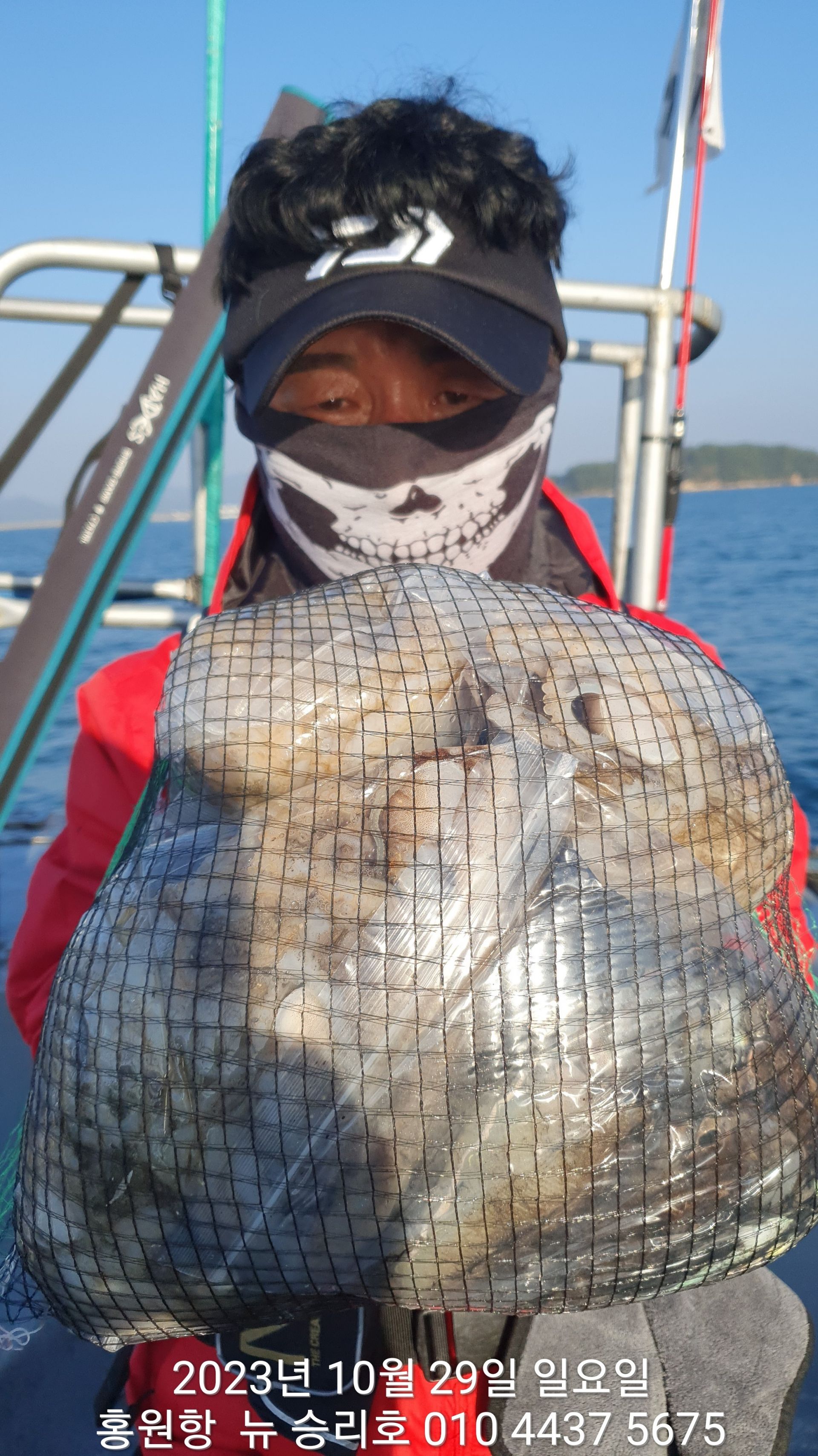 ~~홍원항~~^위풍당당^ ((뉴~승리호)) 10월29일 사릿물에 *왕~ 갑오징어* 망태기 조황입니다!!