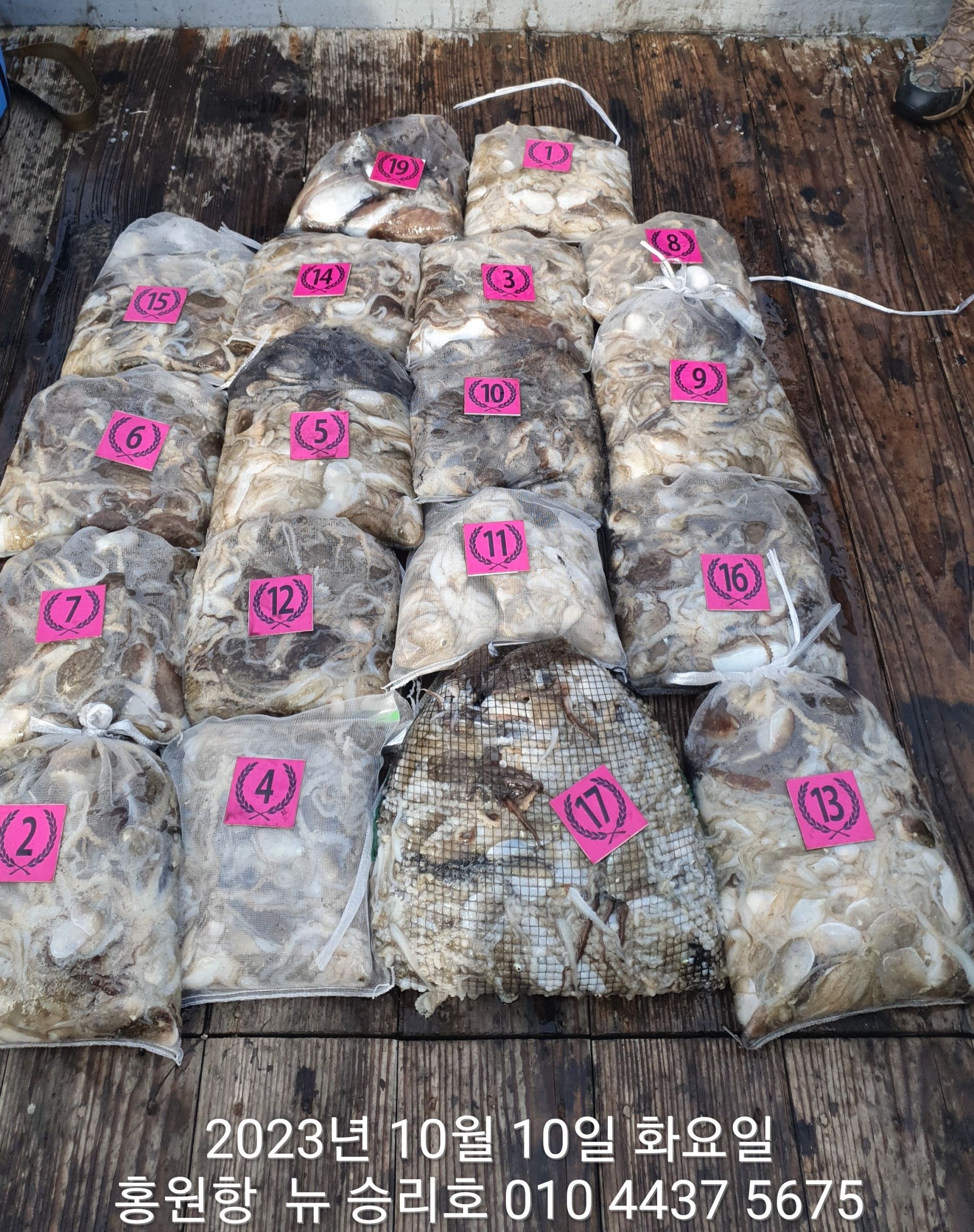 홍원항 ^^위풍당당^^ ((뉴~승리호)) 10/10 바람속에서도*갑이&쭈꾸미* 망태기는 빵~빵~한 조황!!