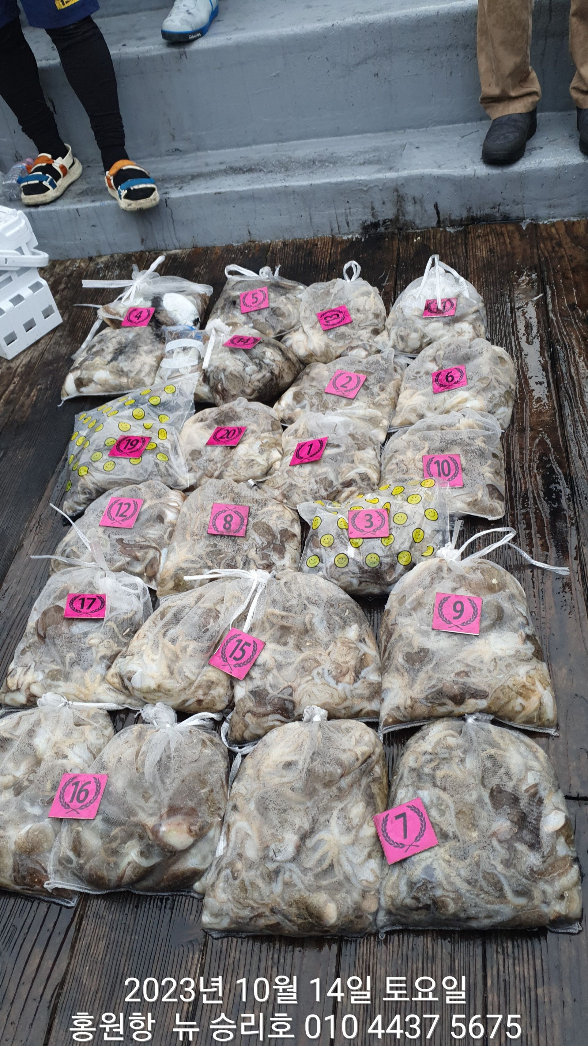 10월14일 홍원항 ^^위풍당당^^ ((뉴~승리호)) **갑씨와 쭈꾸미** 망태기는 완~벽~~ 합니다!!