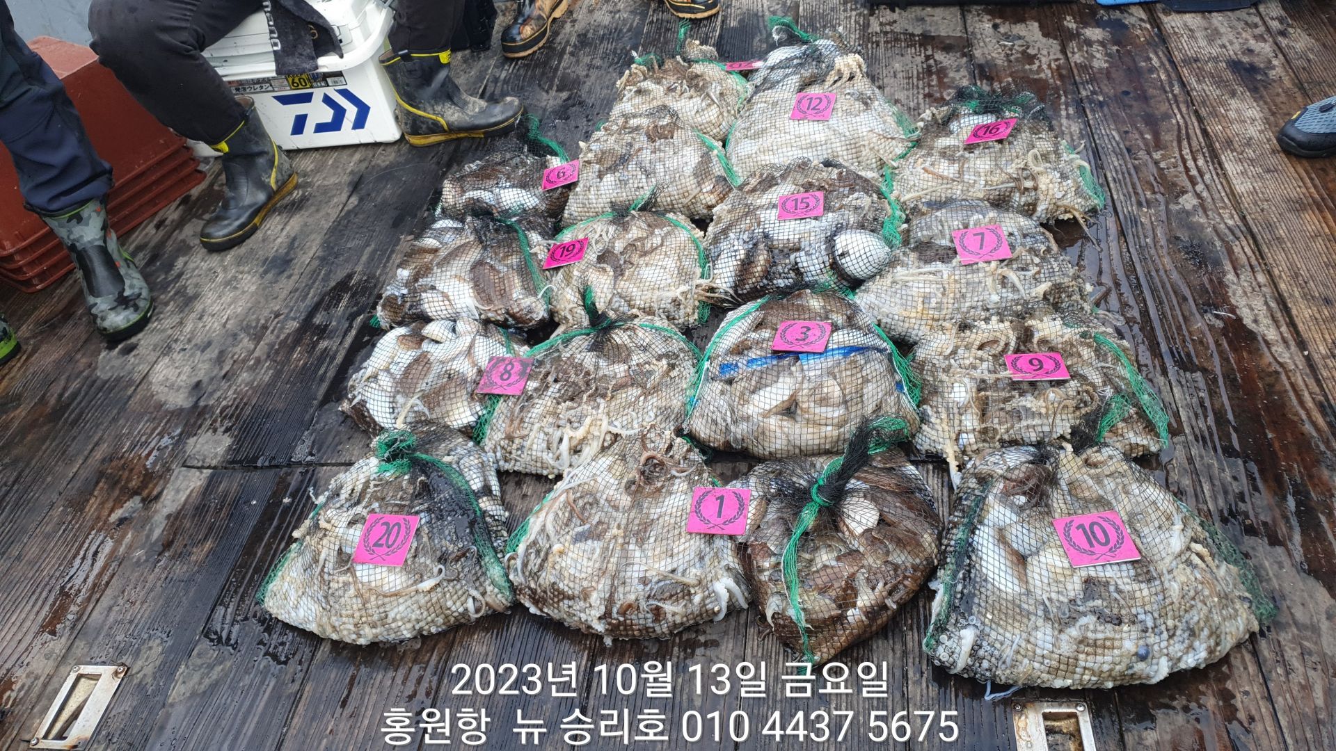 ~~~홍원항~~~ ^^위풍당당^^((뉴~승리호)) 10월13일 *갑이와 쭈꾸미* 엄~청~~난 망태기 조황!!