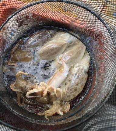 ~~홍원항~~ ^^위풍당당^^ ((뉴~승리호)) *갑이&쭈꾸미* 10월22일 아침 홧~팅~~ 조황입니다!!