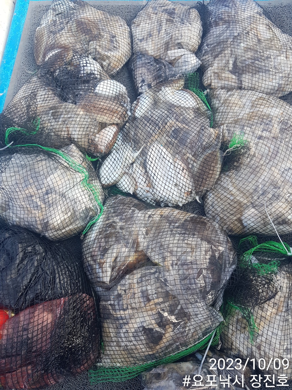 10월9일 홍원항 요포선단 ~제1선단~ ((장진호)) 단체팀 출조도 완~벽~~한 조황입니다!!