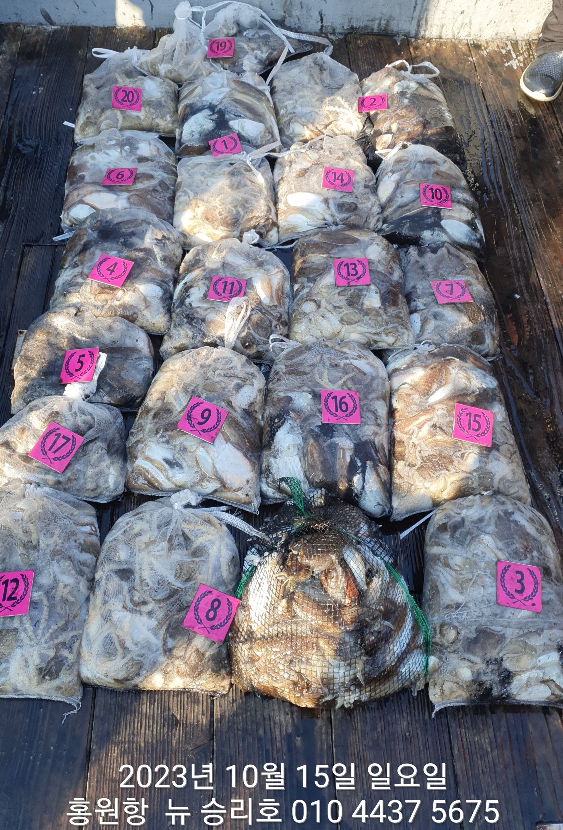 ~~홍원항~~ ^^위풍당당^^((뉴~승리호)) 10월15일 바람과너울 속에서도 빵~빵~~한 망태기 조황!!