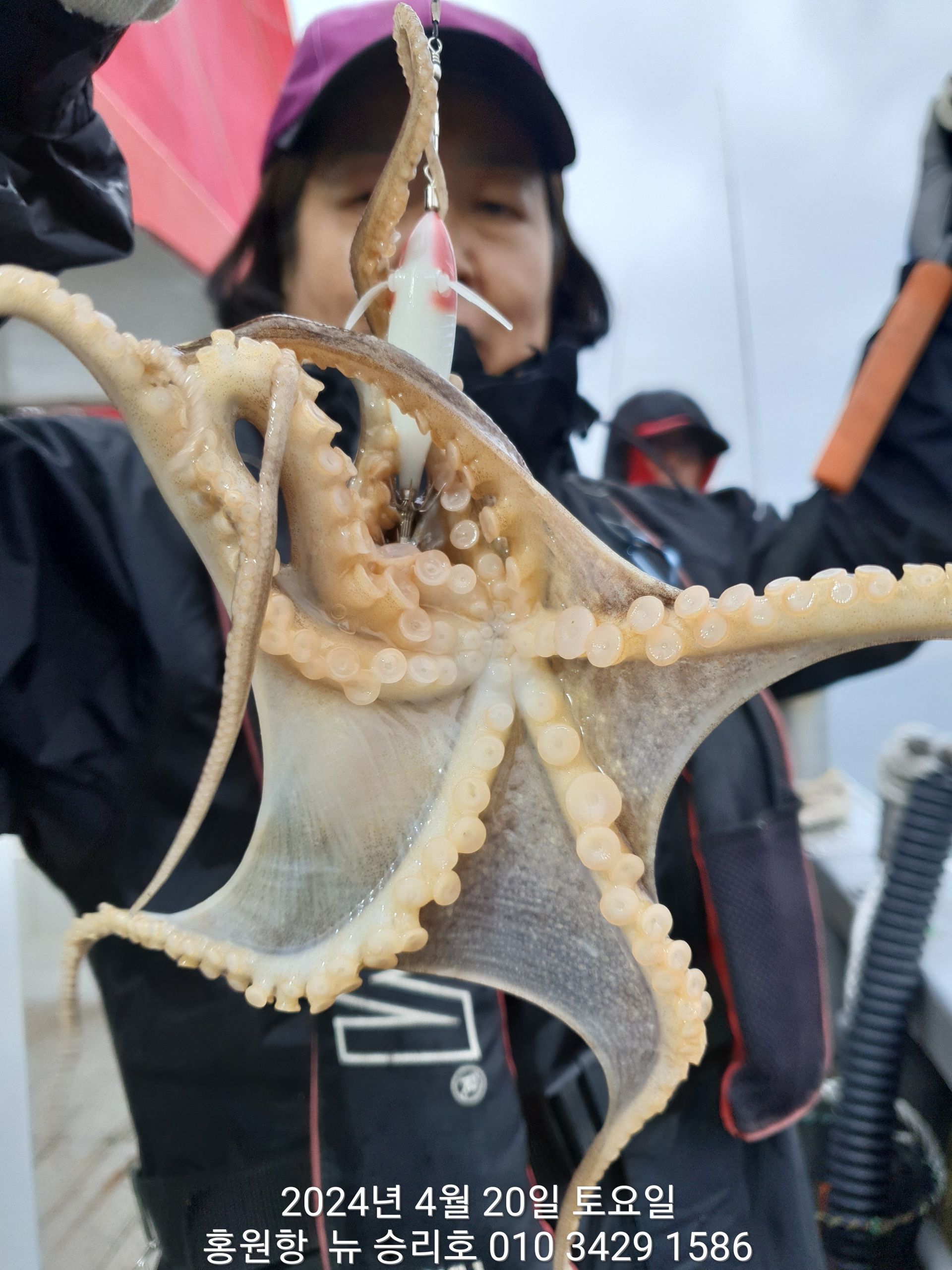 ((홍원항) 요포선단 ^^위풍당당^^ 뉴~승리호 4월20일  아침 조황 올려 드립니다!!