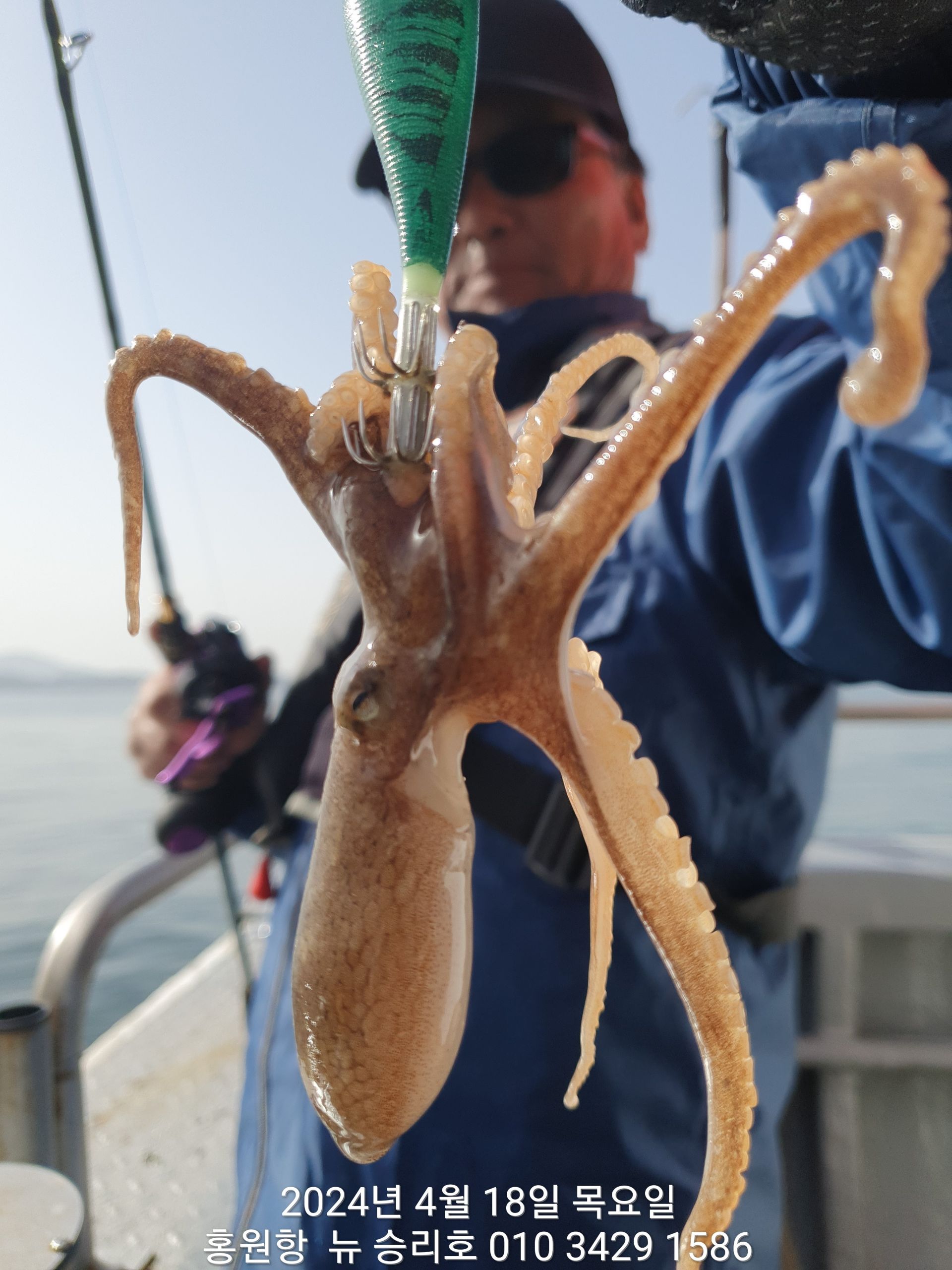 ((홍원항)^^위풍당당^^ 뉴~승리호 4월18일 7분의  아침 조황 올려 드립니다!!