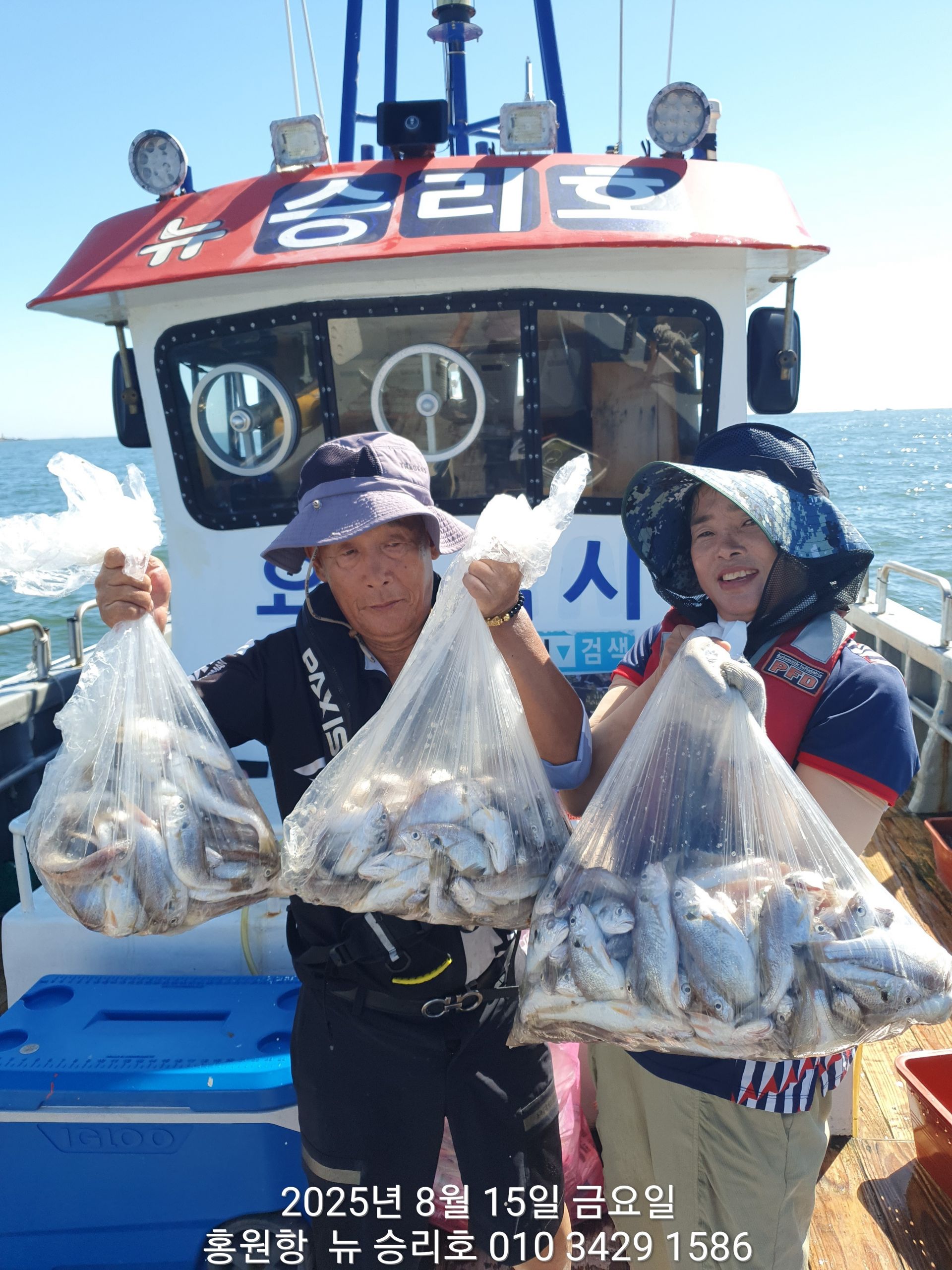 8/15^위풍당당^(뉴~승리호) *황금빛 부세&백조기*(선비.5만원&상품 이벤트)1인 2봉지 대~박~조황!!