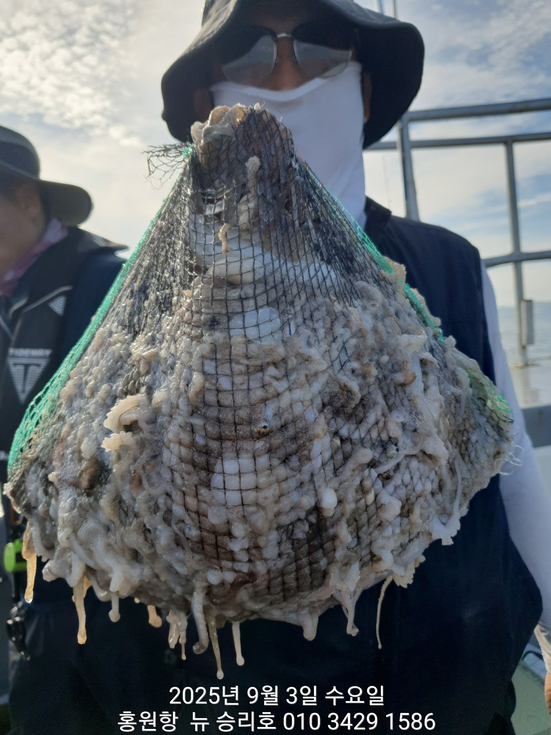 9월3일 홍원항^위풍당당^(뉴~승리호)~쭈꾸미~ 오늘도 (전원) 망태기는 굿~굿~~~ 조황입니다!!