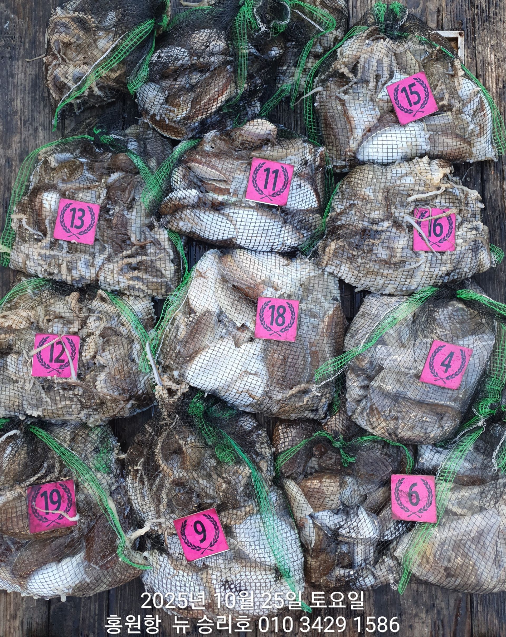 홍원항 ^^위풍당당^^ (뉴~승리호) 10월25일**갑오징어&쭈꾸미** 만~족~한 망태기 조황입니다!!